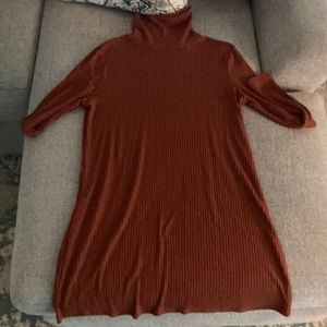 Fall Turtle Neck Dress